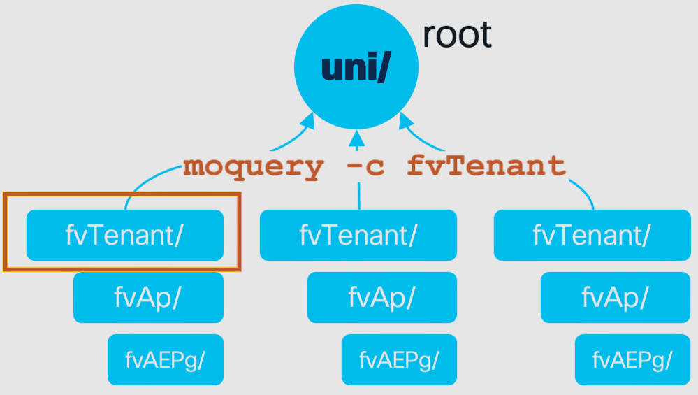 An illustrated diagram shows a hierarchy for data organization. At the top is a blue circle labeled uni/ connected by arrows to three columns below. Each column has a title fvTenant/ followed by two smaller boxes labeled fvAp/ and fvAEPg/. The text moquery -c fvTenant overlays the image. The left fvTenant/ box is highlighted with an orange border.