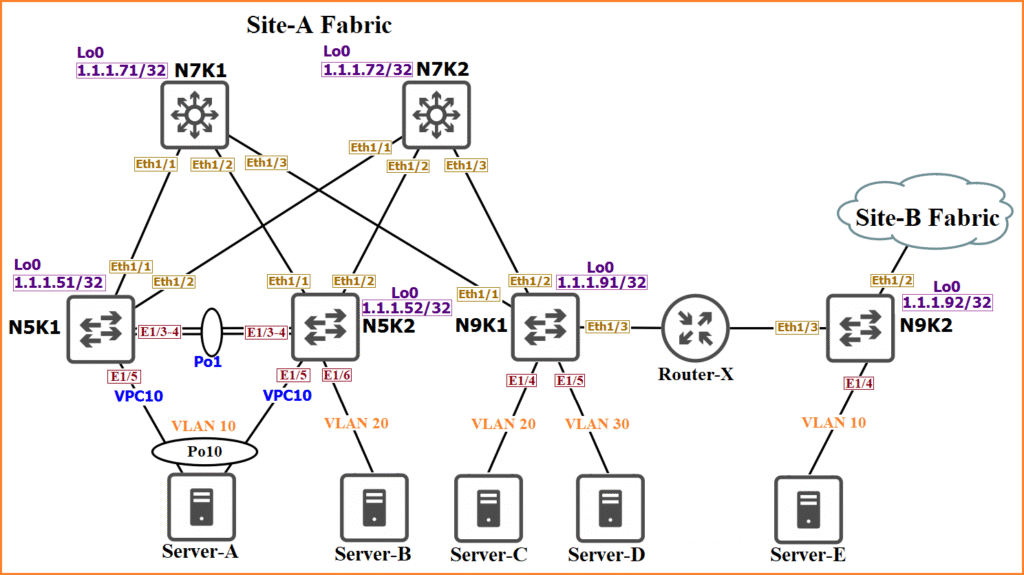A network Diagram showing two fabrics, Site-A and Site-B. Site-A includes switches N5K1, N5K2, N9K1 as leaves, where as N7K1 and N7K2 as spines. Leaf switches connecting servers A, B, C, D via VLANs 10, 20, 30. There are also loopback interfaces and port channels. On the other hand, site B contains N9K2 as a border gateway . Router-X connects Site-A to Site-B via N9K2.